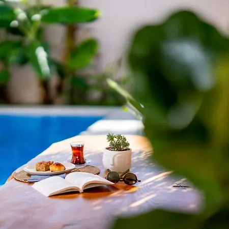 호텔 Fora Bella 2*